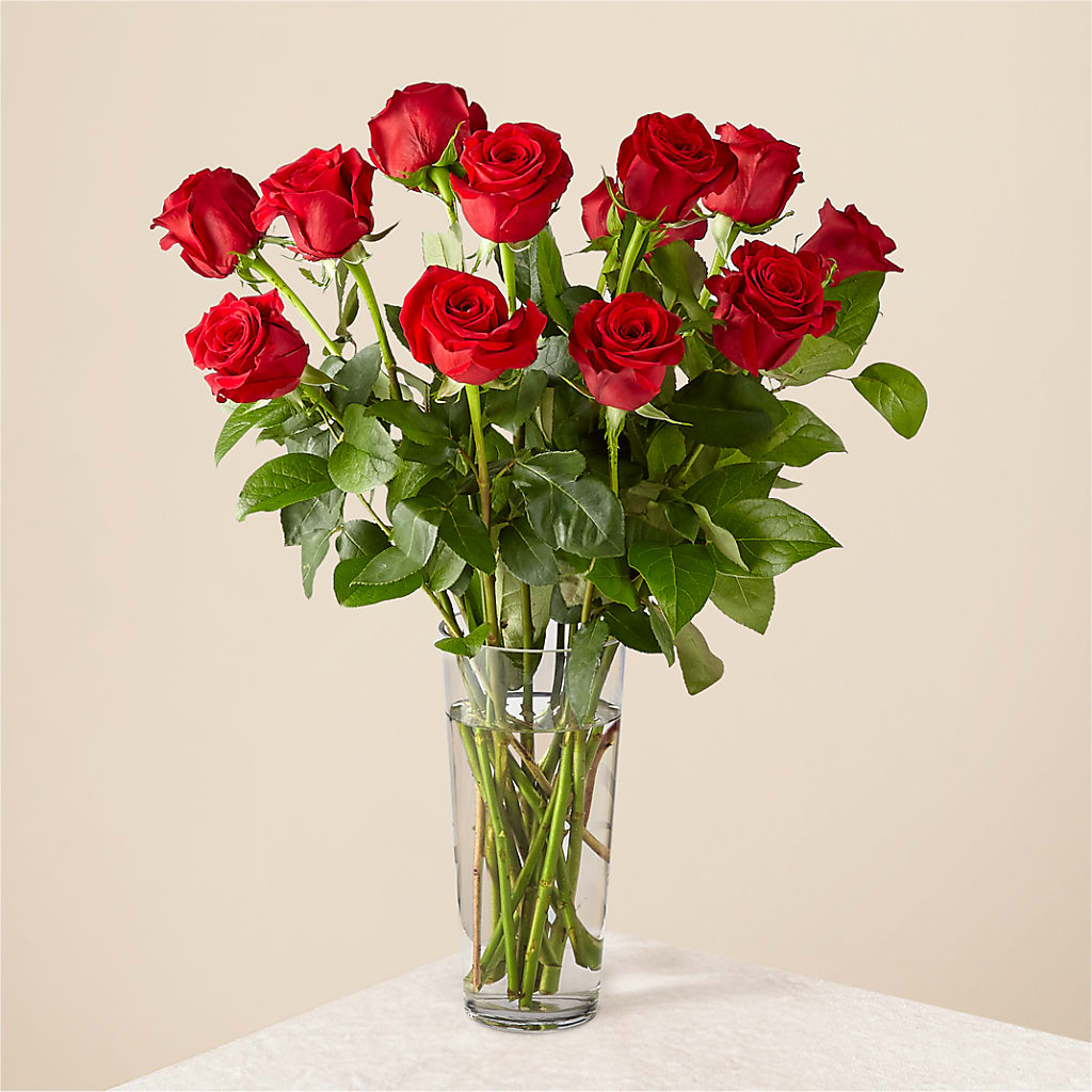 Long Stem Red Rose Bouquet – FLOWER'S SAGE, Doral FL
