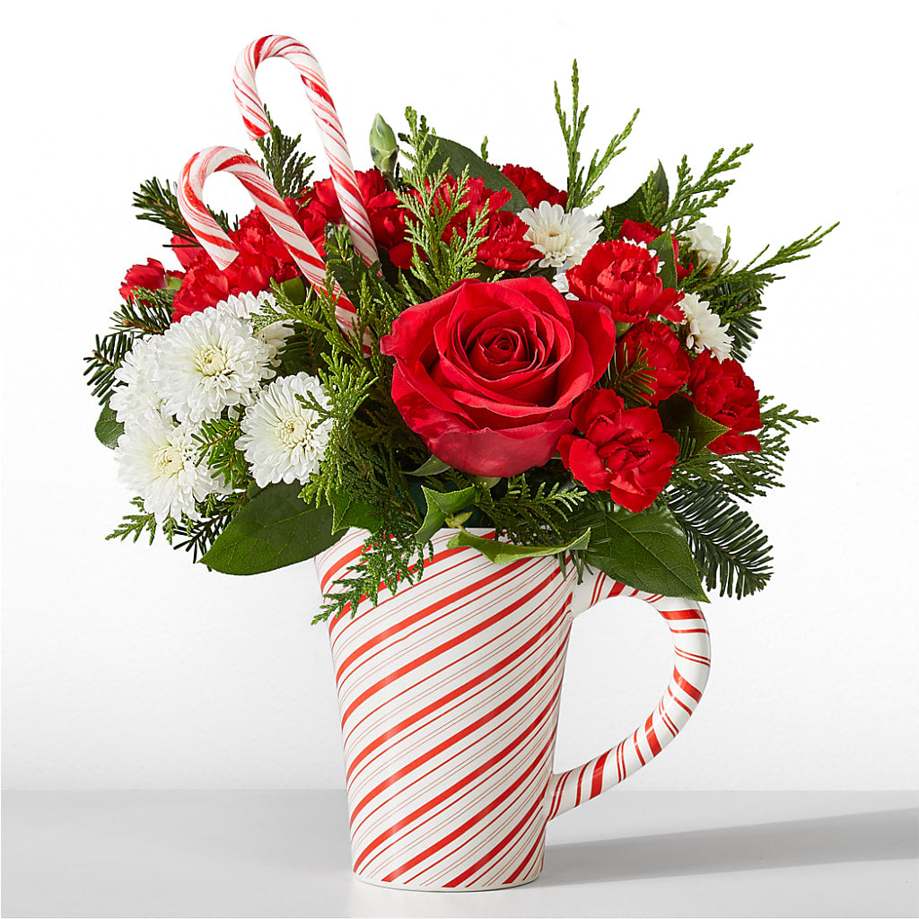 Peppermint Swirl Mug – FLOWER'S SAGE, Doral FL