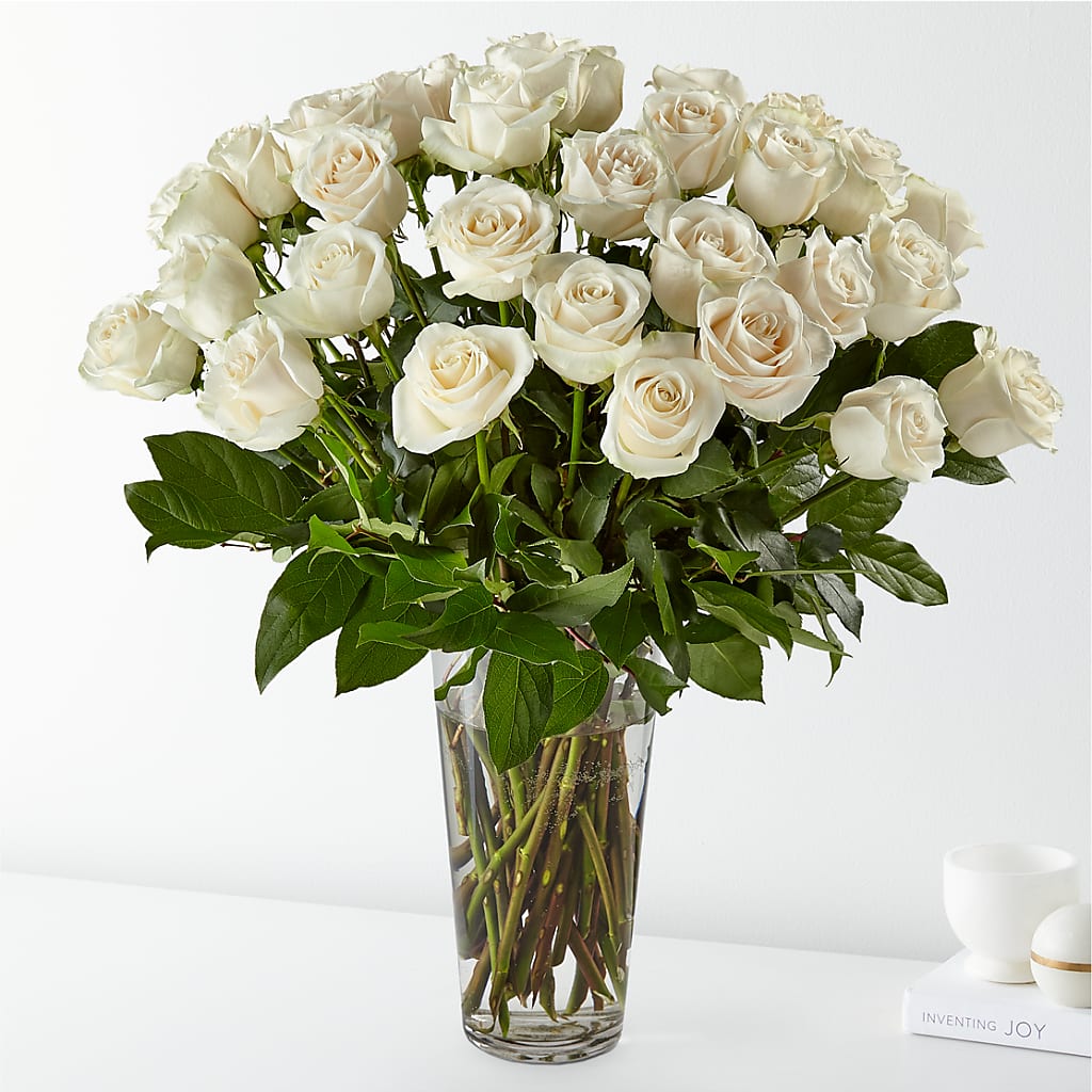 Long Stem White Rose Bouquet – FLOWER'S SAGE, Doral FL