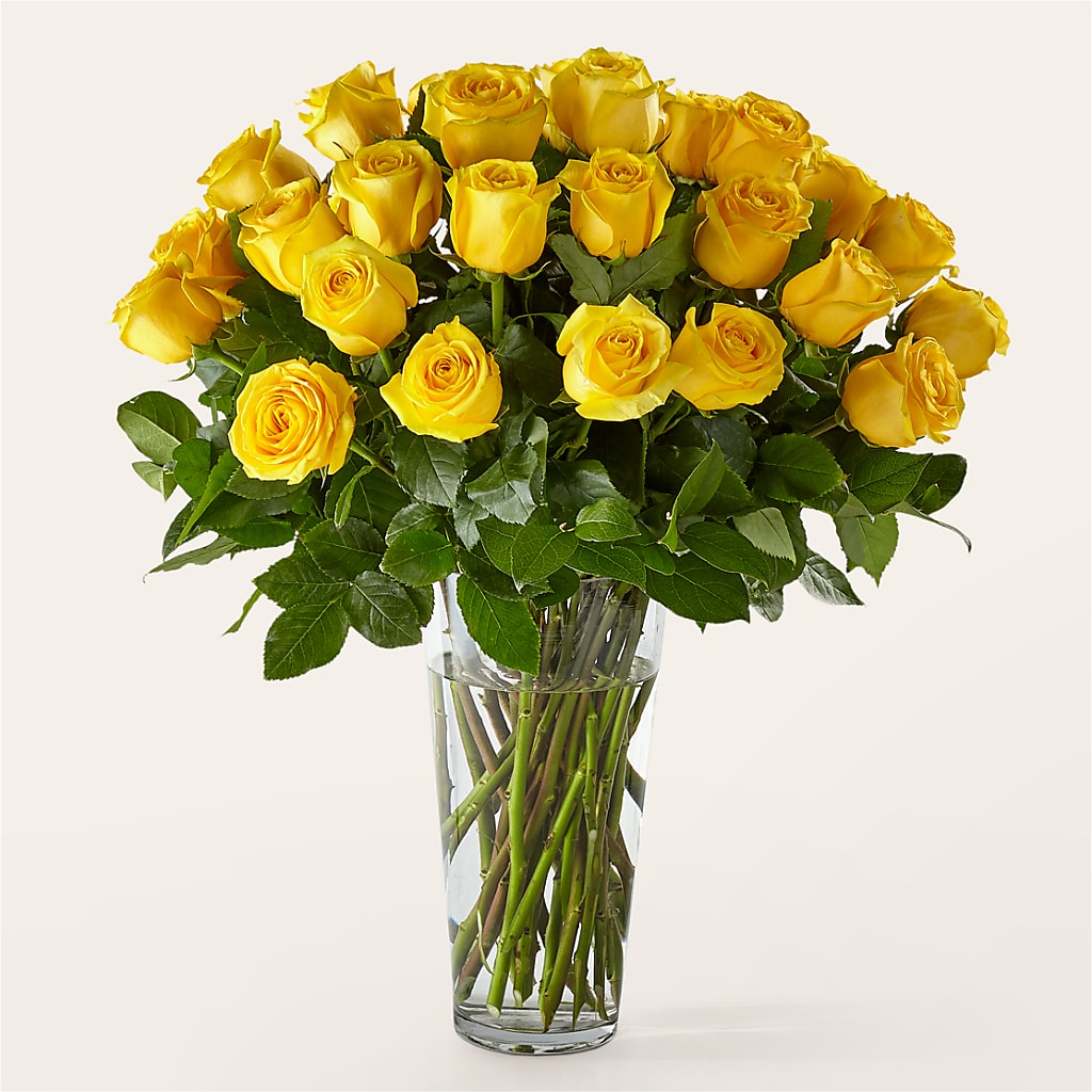 Long Stem Yellow Rose Bouquet – FLOWER'S SAGE, Doral FL