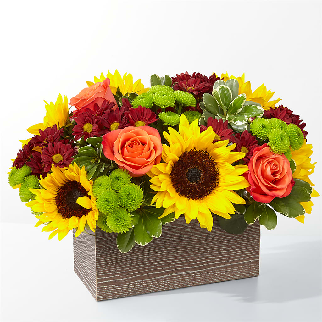 Happy Harvest Garden – FLOWER'S SAGE, Doral FL