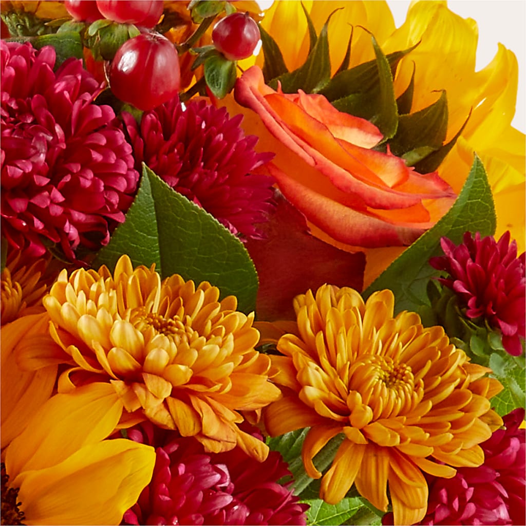 Sweater Season - A Florist Original – FLOWER'S SAGE, Doral FL