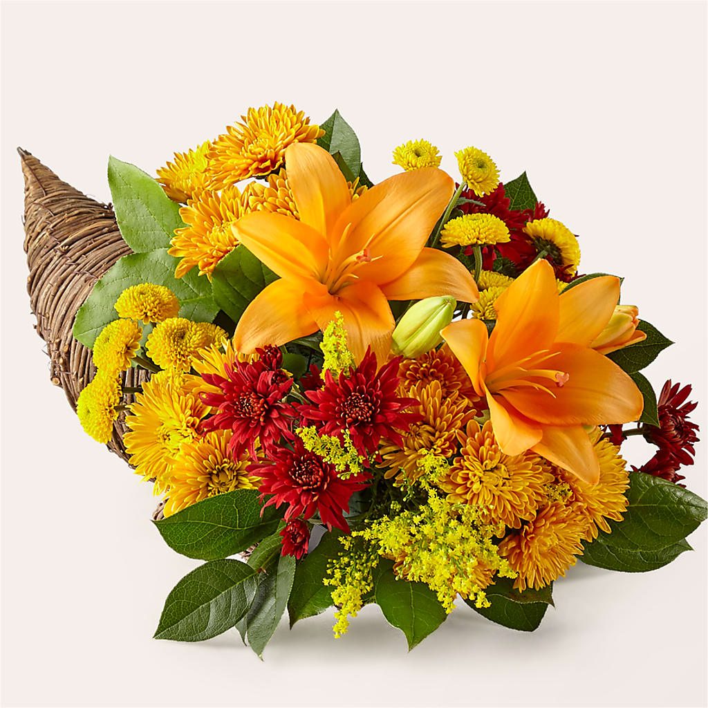 Feast of Color Cornucopia – FLOWER'S SAGE, Doral FL
