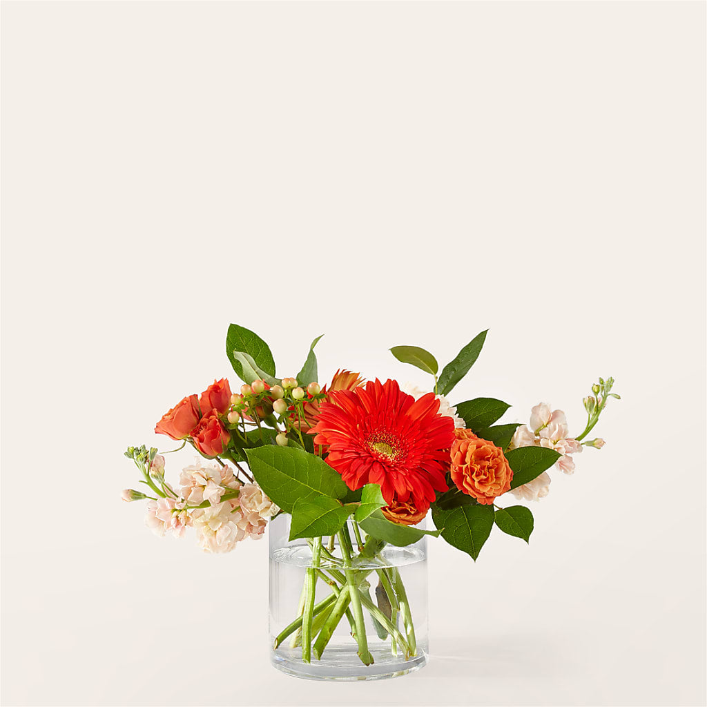Paloma Please Bouquet – FLOWER'S SAGE, Doral FL
