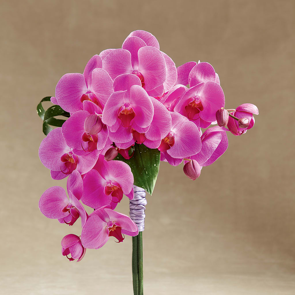 Glorious Bouquet – FLOWER'S SAGE, Doral FL