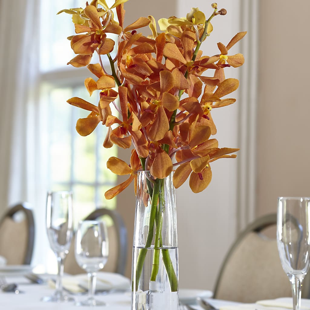 Orange Mokara Bud Vase – FLOWER'S SAGE, Doral FL