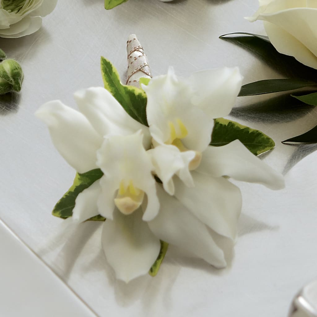 White Mini Cymbidium Boutonniere – FLOWER'S SAGE, Doral FL