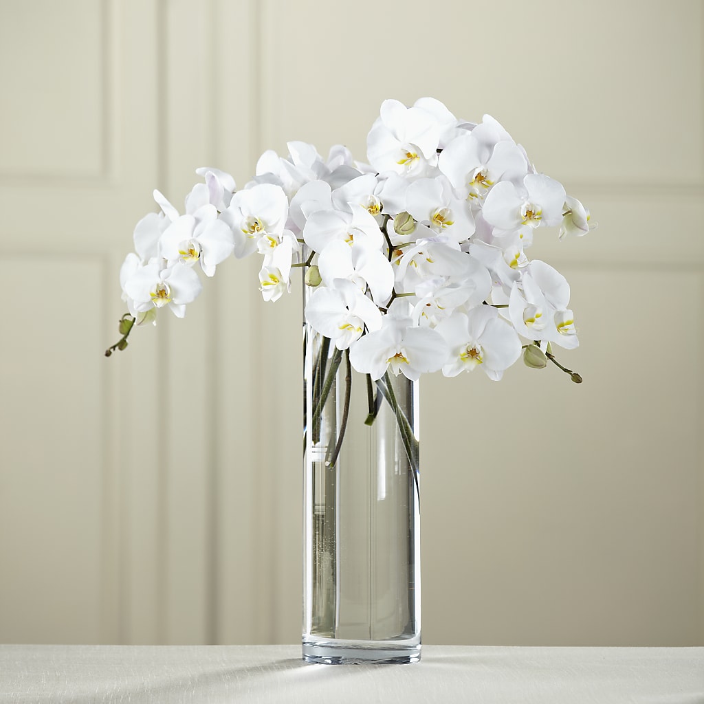 White Phalaenopsis Bouquet – FLOWER'S SAGE, Doral FL