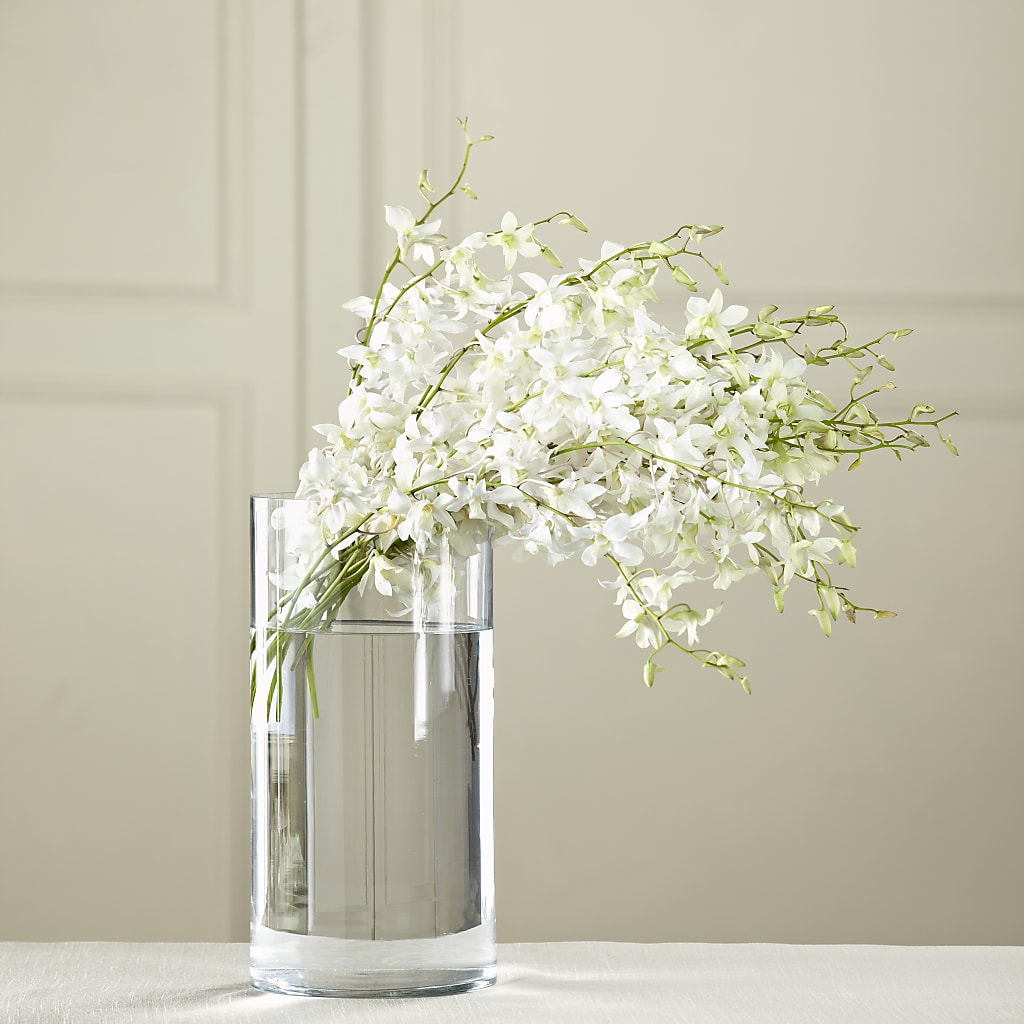 White Dendrobium Bouquet – FLOWER'S SAGE, Doral FL