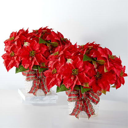 Happiest Holidays Poinsettia Bundle – FLOWER'S SAGE, Doral FL