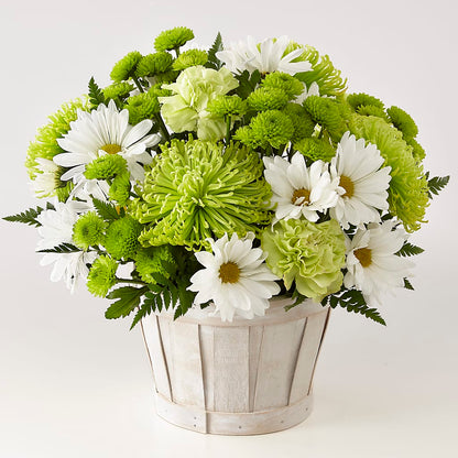 Lucky Charm Basket (Standard) – FLOWER'S SAGE, Doral FL