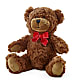 Adorable Plush Bear – FLOWER'S SAGE, Doral FL