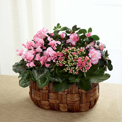 Pink Assortment – FLOWER'S SAGE, Doral FL