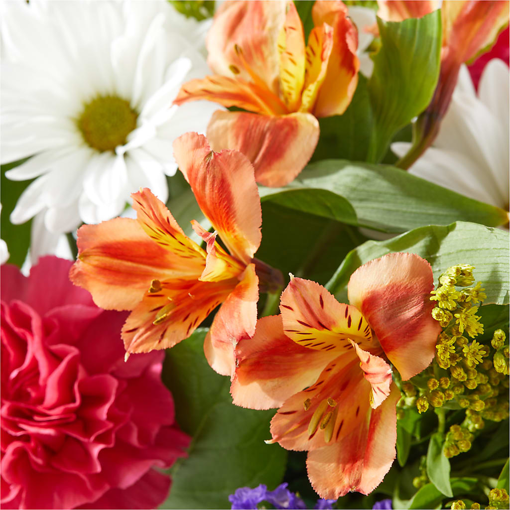 Oopsie Daisy Box Bouquet – FLOWER'S SAGE, Doral FL