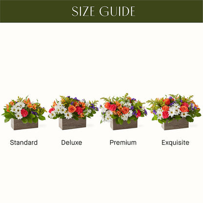 Oopsie Daisy Box Bouquet – FLOWER'S SAGE, Doral FL