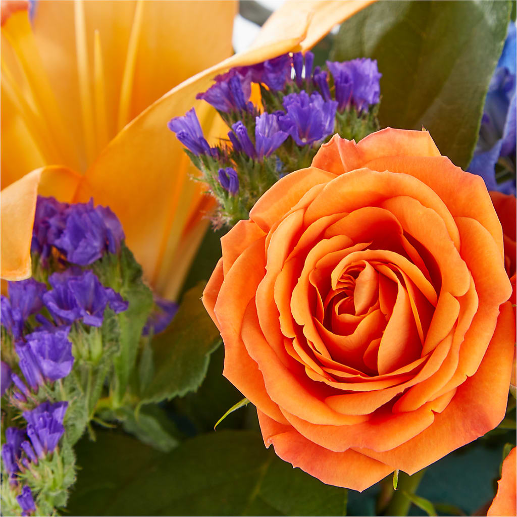 Radiant Citrus Box Bouquet – FLOWER'S SAGE, Doral FL
