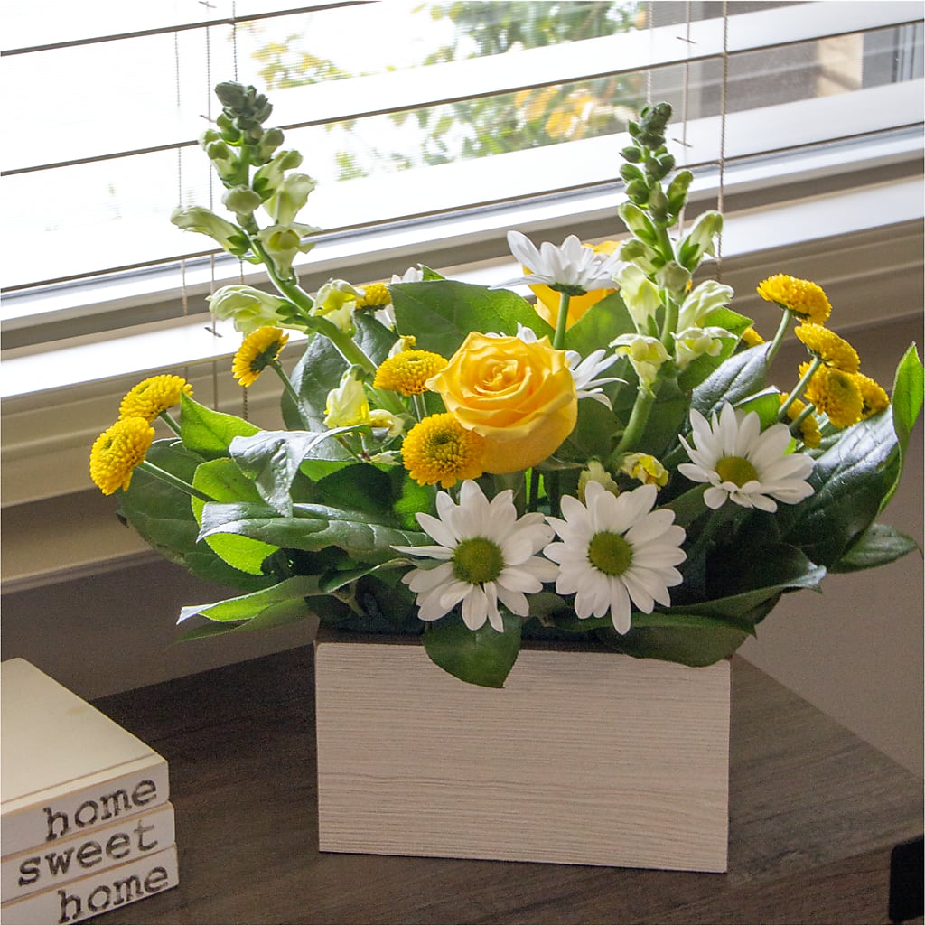 Sun Salutation Box Bouquet – FLOWER'S SAGE, Doral FL