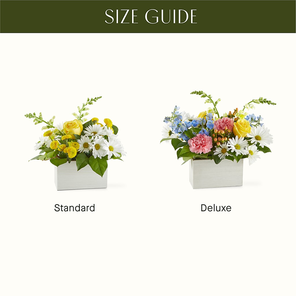 Sun Salutation Box Bouquet – FLOWER'S SAGE, Doral FL