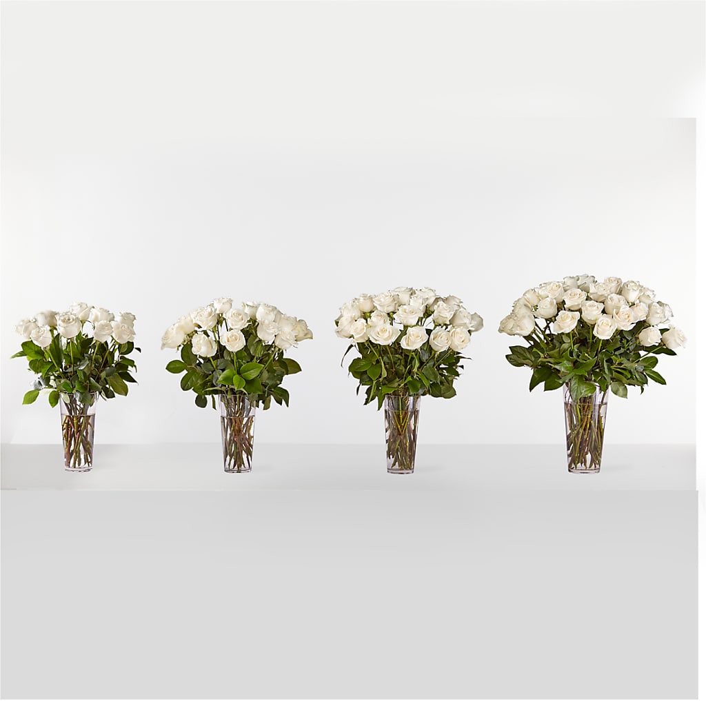Long Stem White Rose Bouquet – FLOWER'S SAGE, Doral FL
