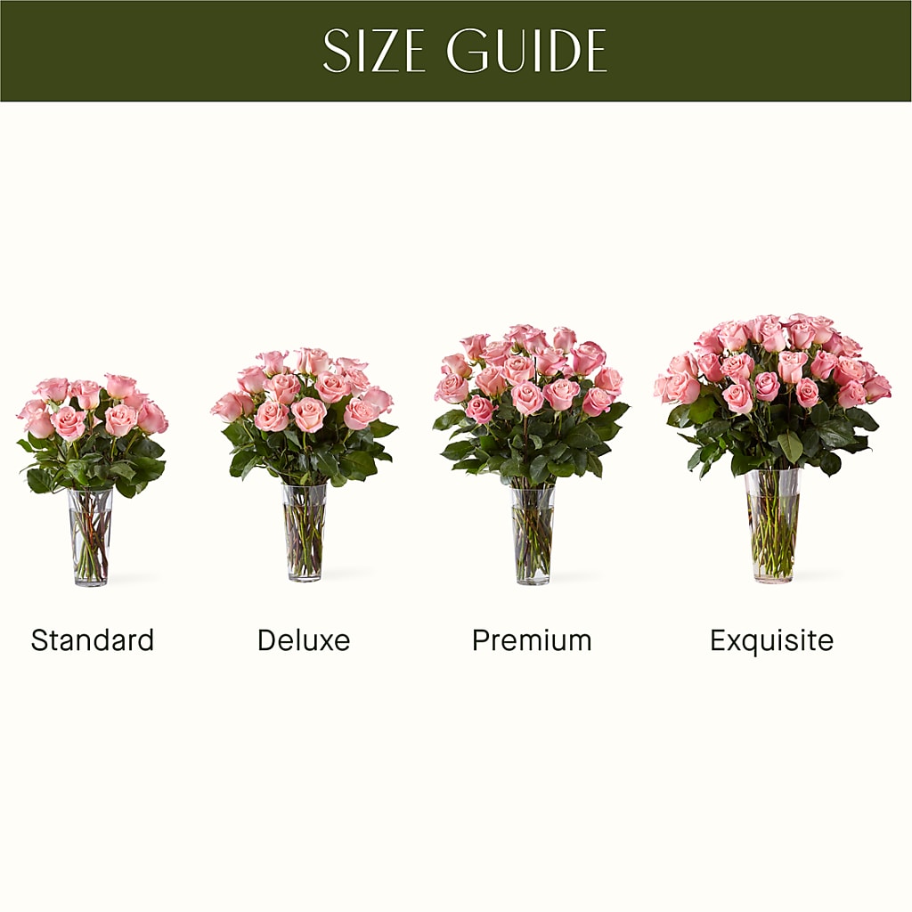 Long Stem Pink Rose Bouquet – FLOWER'S SAGE, Doral FL