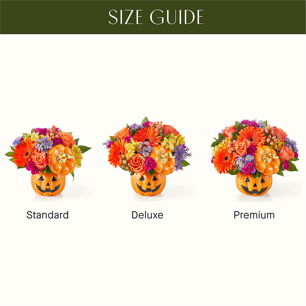 Tricks & Treats Pumpkin – FLOWER'S SAGE, Doral FL