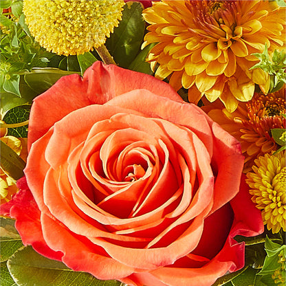 Gourdgeous Pumpkin – FLOWER'S SAGE, Doral FL