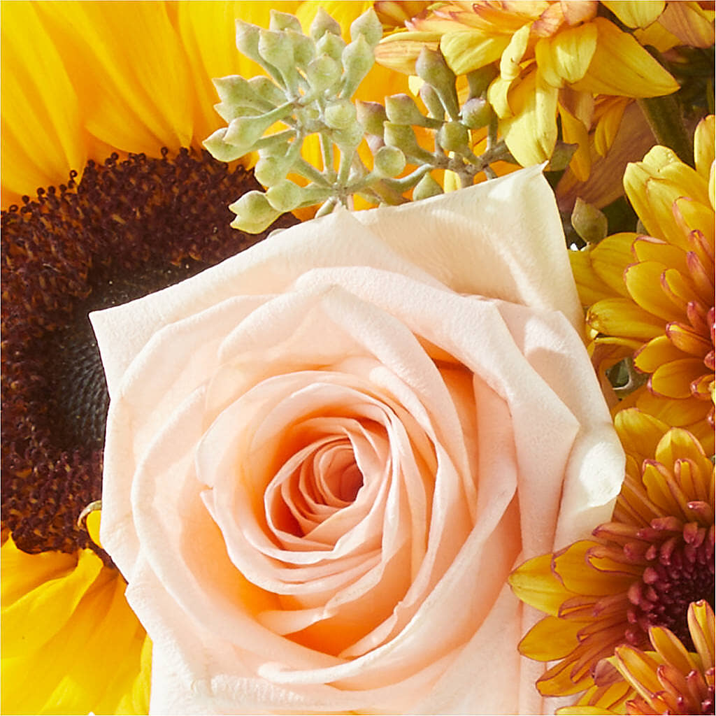 Pumpkin to Talk About Bouquet – FLOWER'S SAGE, Doral FL