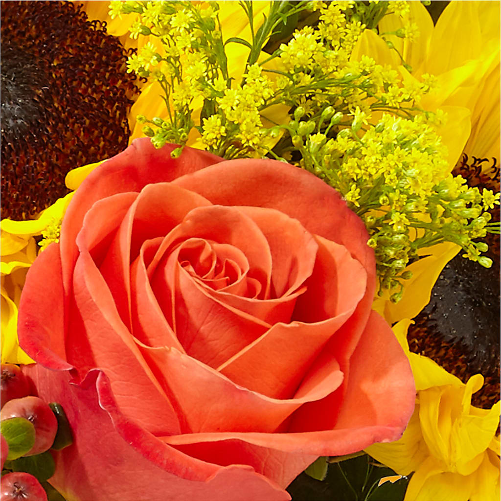 Pick of the Patch Pumpkin Bouquet – FLOWER'S SAGE, Doral FL
