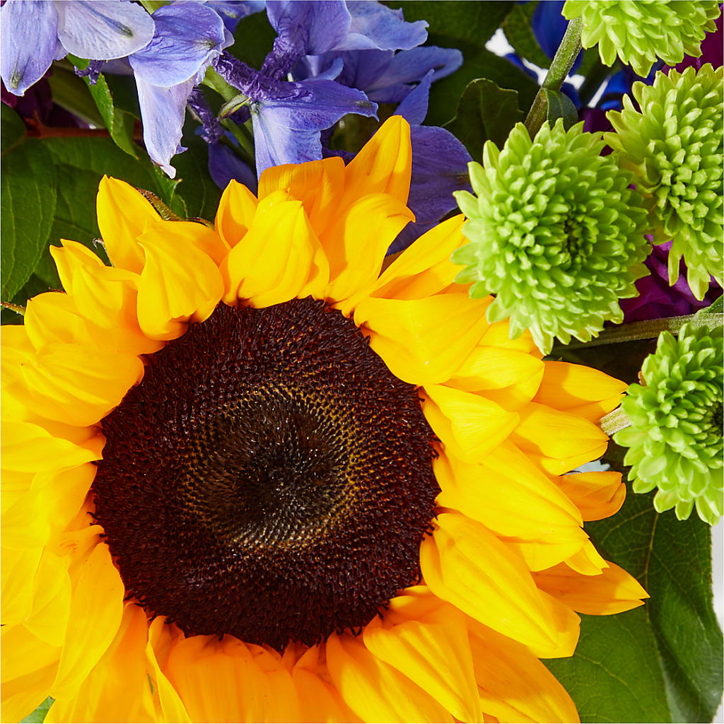Catching Rays Bouquet – FLOWER'S SAGE, Doral FL