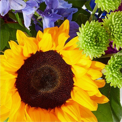 Catching Rays Bouquet – FLOWER'S SAGE, Doral FL