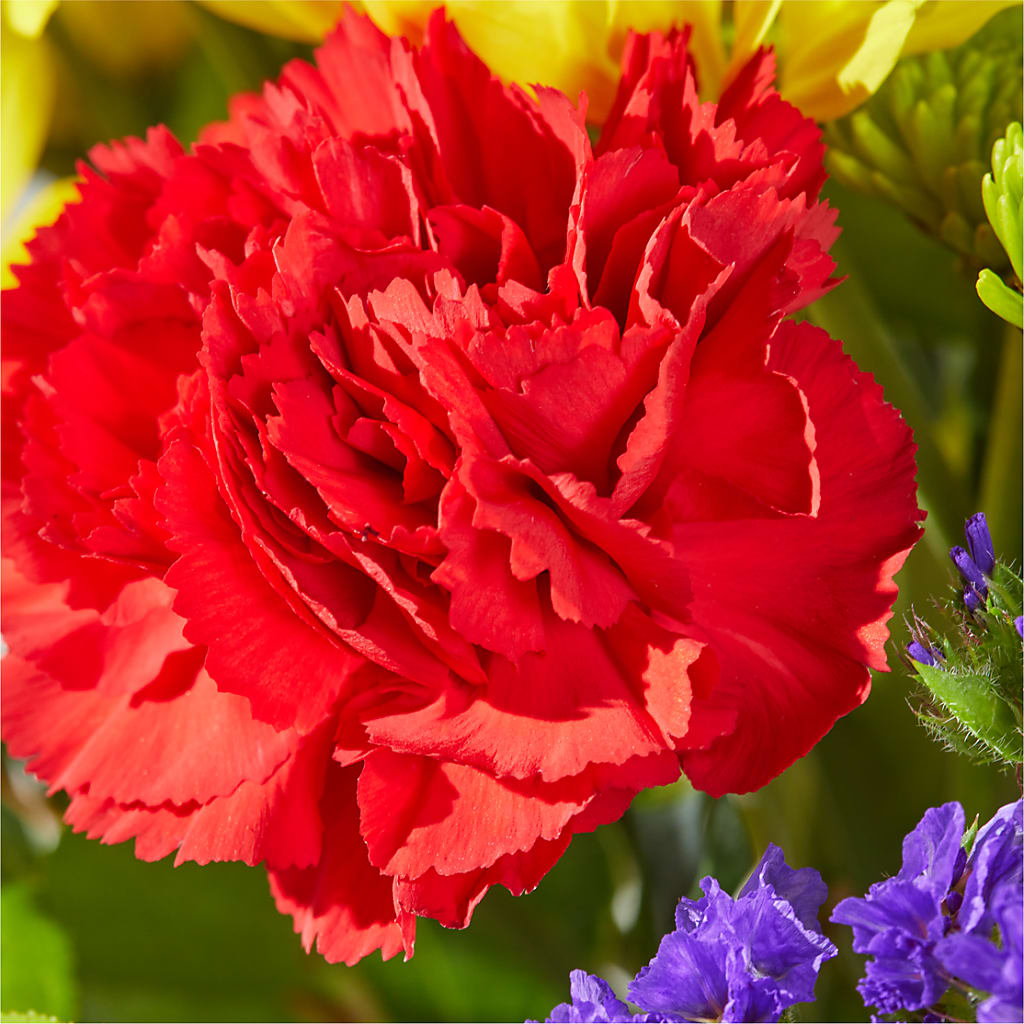 Brighter Days Bouquet – FLOWER'S SAGE, Doral FL