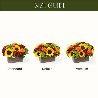 Happy Harvest Garden – FLOWER'S SAGE, Doral FL