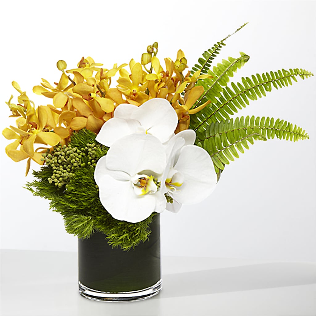 The Tropics – FLOWER'S SAGE, Doral FL