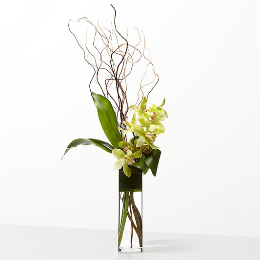 The Statement – FLOWER'S SAGE, Doral FL