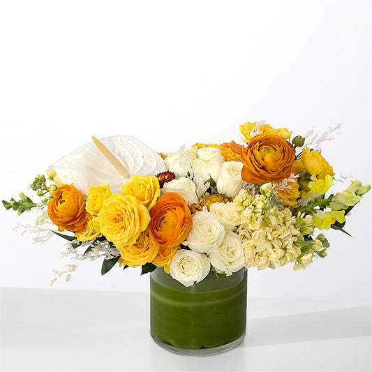 The Optimist – FLOWER'S SAGE, Doral FL
