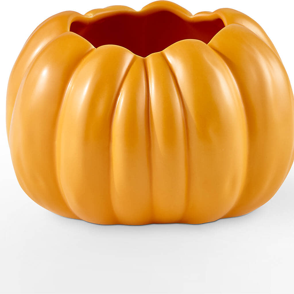 Golden Gourd Pumpkin Bouquet – FLOWER'S SAGE, Doral FL
