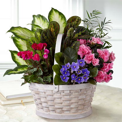 Peaceful Garden Planter – FLOWER'S SAGE, Doral FL
