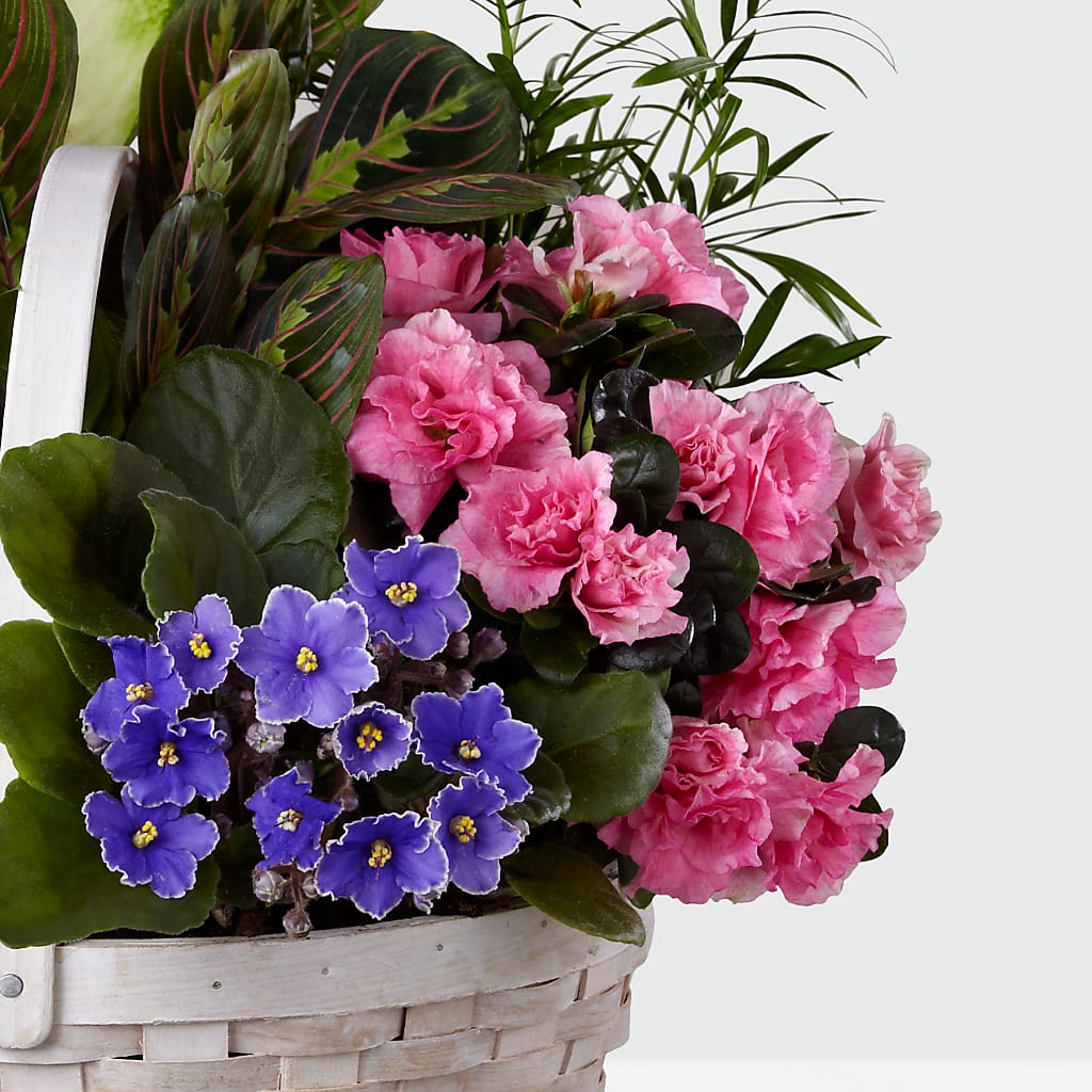 Peaceful Garden Planter – FLOWER'S SAGE, Doral FL