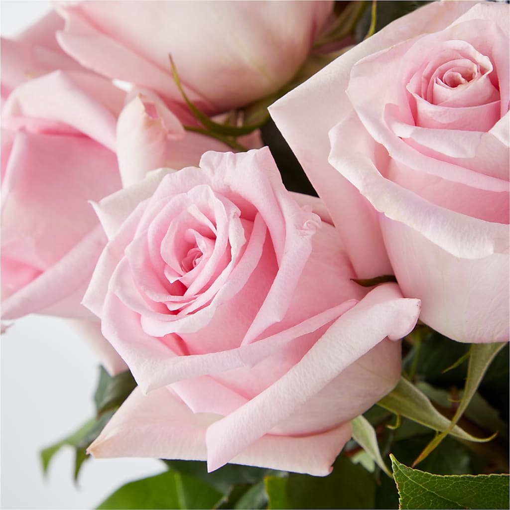 Picture Perfect Pink Rose Bouquet – FLOWER'S SAGE, Doral FL