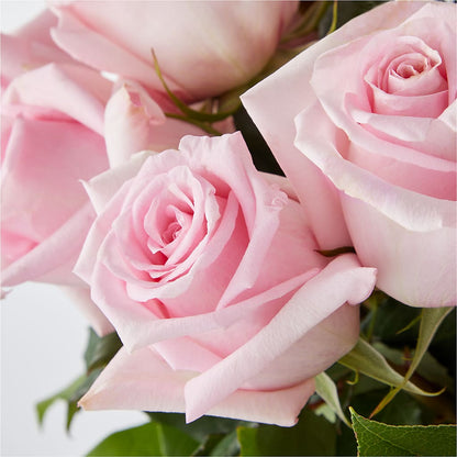 Picture Perfect Pink Rose Bouquet – FLOWER'S SAGE, Doral FL