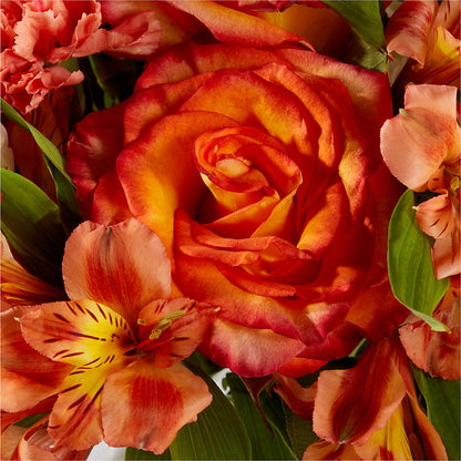 Apricot Glow Bouquet – FLOWER'S SAGE, Doral FL