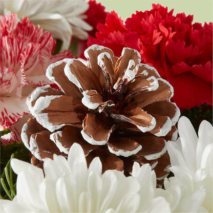 Candy Cane Lane Bouquet – FLOWER'S SAGE, Doral FL