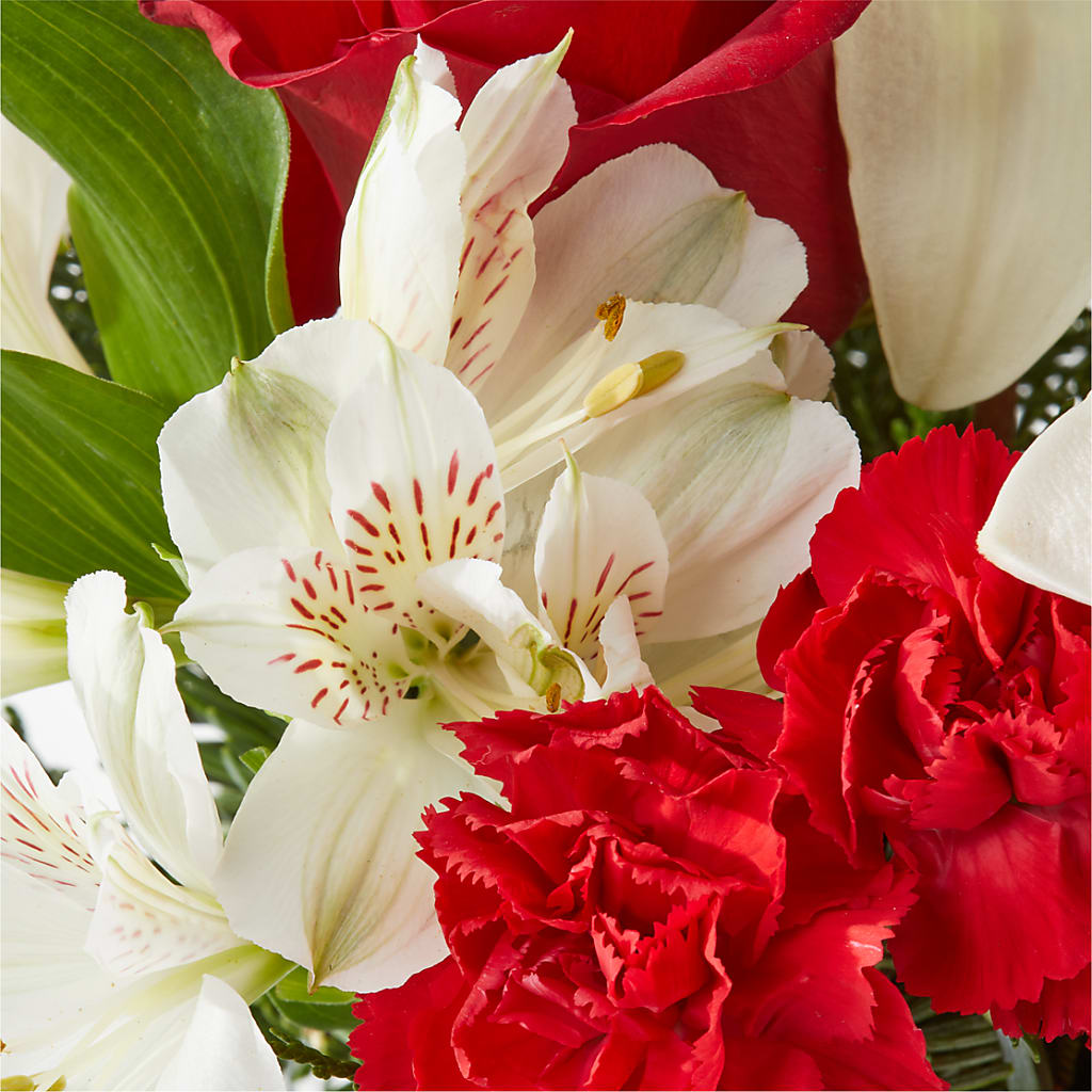 Holiday Season Bouquet – FLOWER'S SAGE, Doral FL
