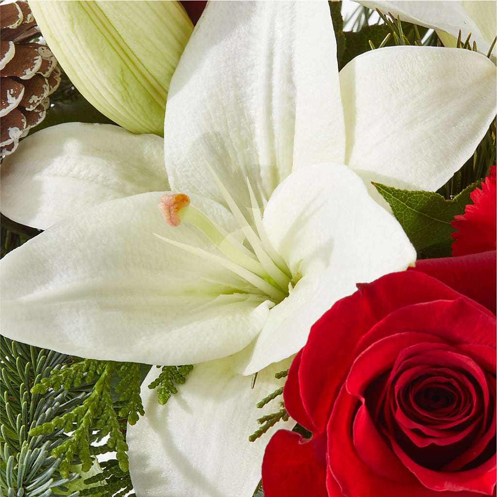 Oh So Jolly Bouquet – FLOWER'S SAGE, Doral FL