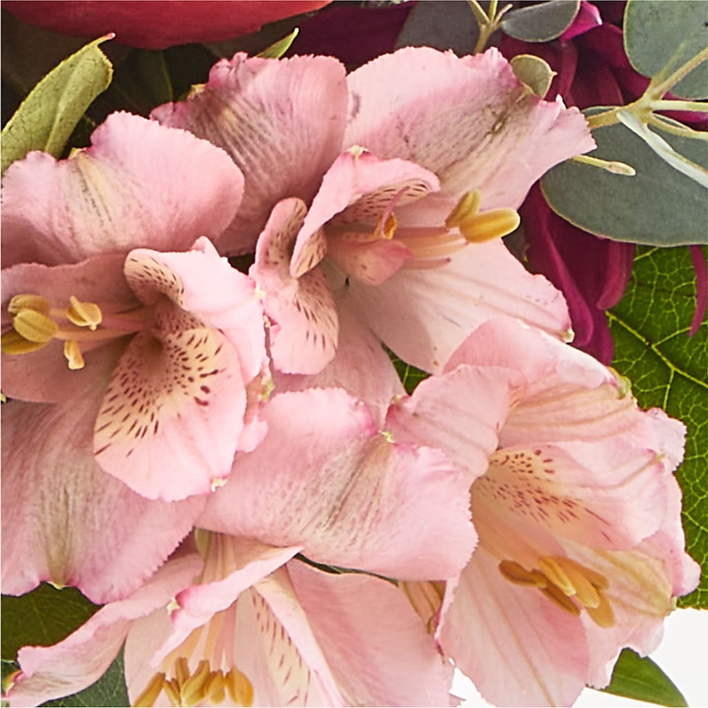 Berry Cobbler Bouquet – FLOWER'S SAGE, Doral FL