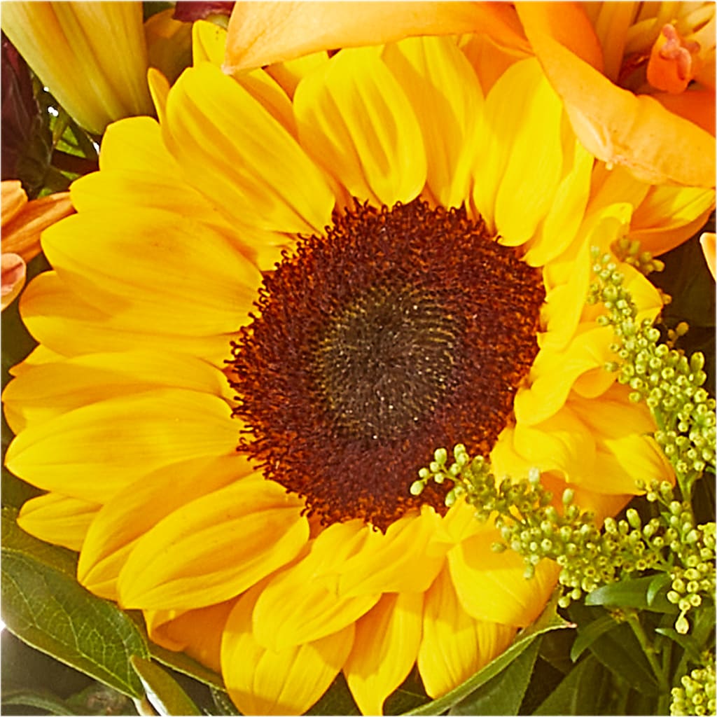 Seasons Change Bouquet – FLOWER'S SAGE, Doral FL