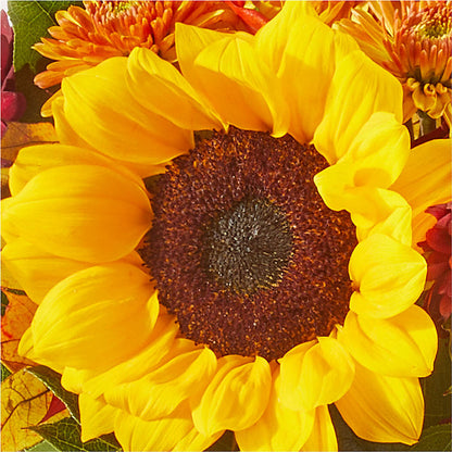 Sunny Side Bouquet – FLOWER'S SAGE, Doral FL