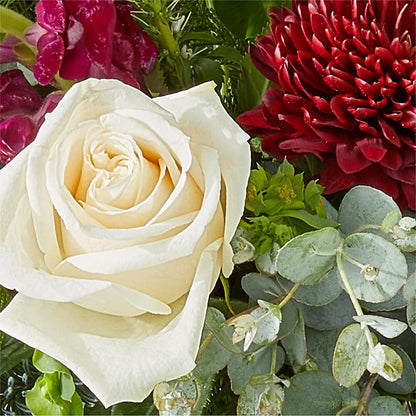 Cranberry Fizz Bouquet – FLOWER'S SAGE, Doral FL