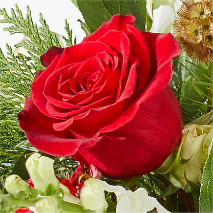 Deck the Halls Bouquet – FLOWER'S SAGE, Doral FL