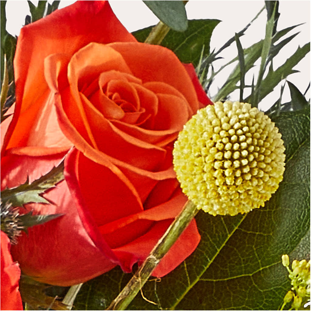 Disco Bouquet – FLOWER'S SAGE, Doral FL